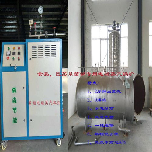 高效環(huán)保的食品蒸煮殺菌電熱蒸汽發(fā)生器 智能電磁蒸汽鍋爐引領行業(yè)革新